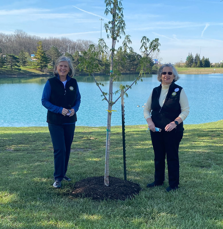 Country Garden Club Perrysburg Arbor Day Ruby Red Horsechestnut Tree Rotary Park