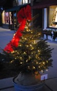 Country Garden Club Downtown Perrysburg Holiday Decorations